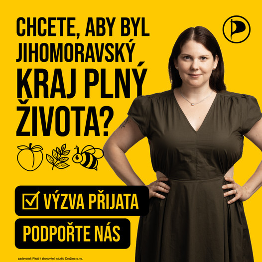 Politický poster