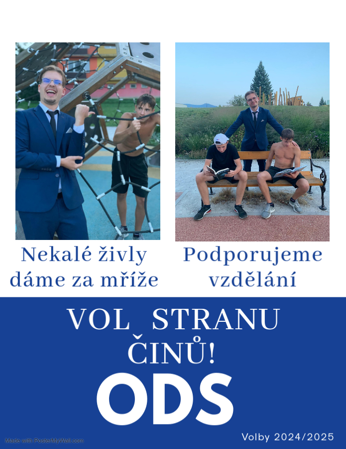 Politický poster